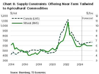 Chart 8 shows historical prices plus forecasts for wheat and canola.