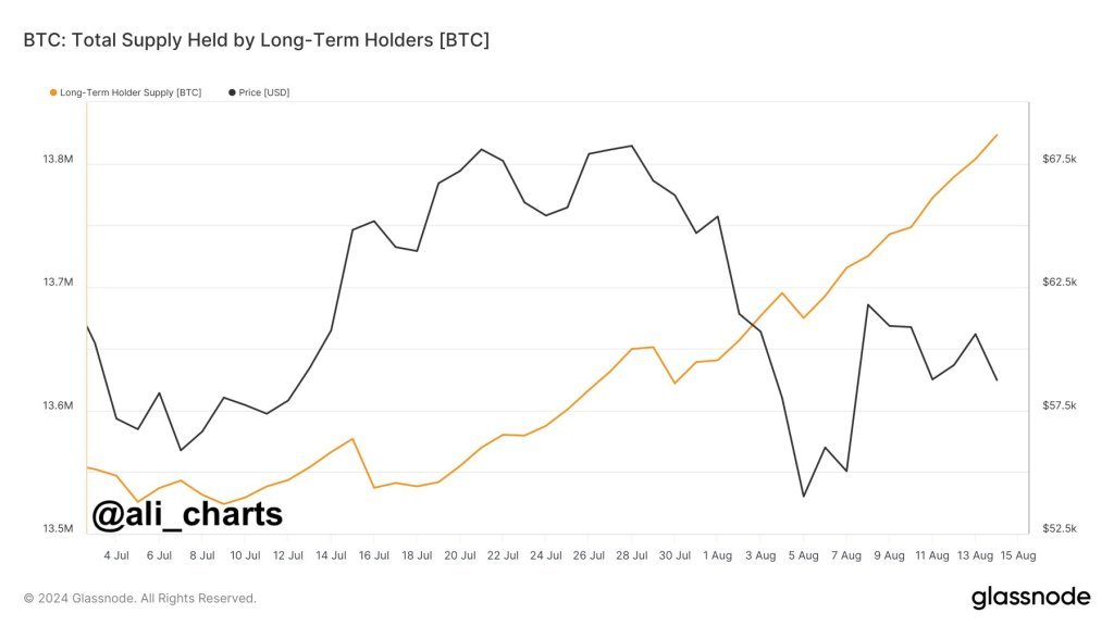 HODLers added 300,000 BTC in three months | Source: @ali_charts via X