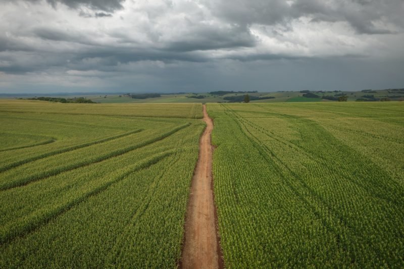 Why commodities now? Will 1970s inflation repeat in the 2020s? | Insights