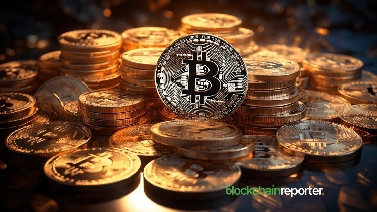 Bitcoin Binary CDD atteint 0,6: Regardez de près l’activité du titulaire à long terme