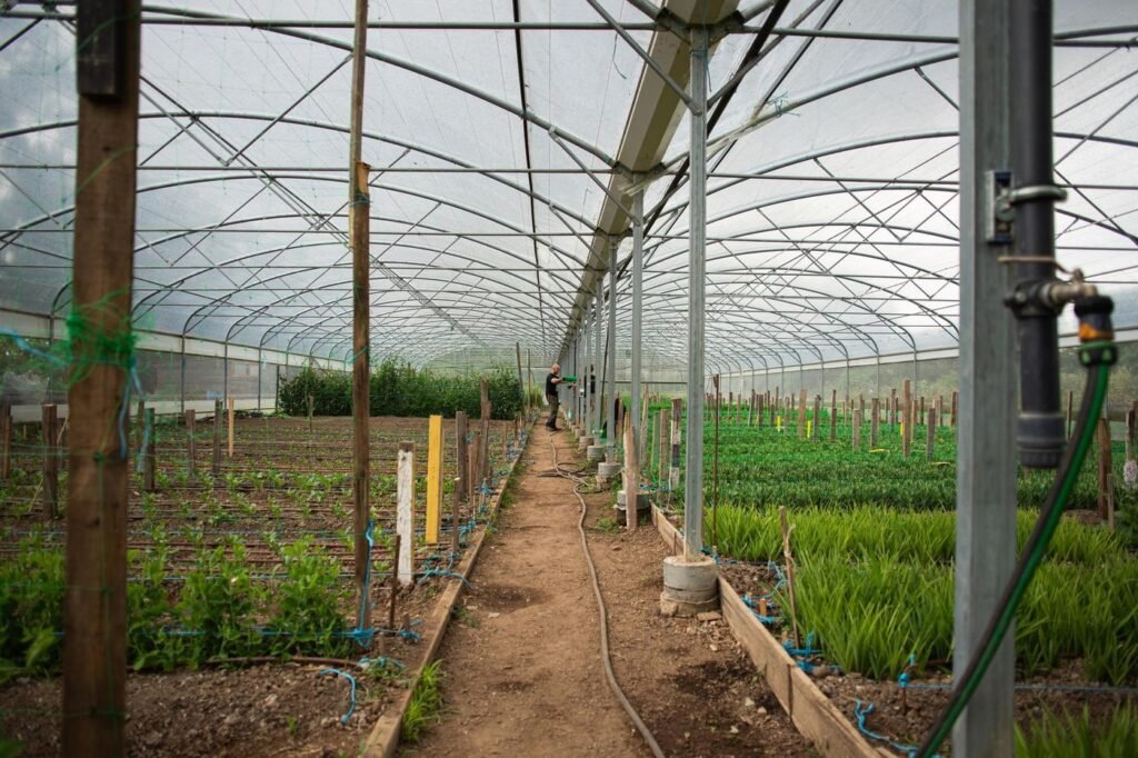 Halage, trente années au service de l’insertion en Seine-Saint-Denis