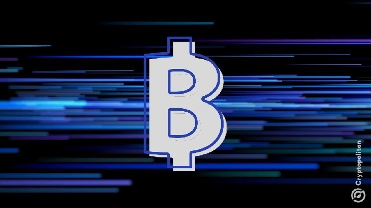 Bitcoin voit le plus gros mouvement dans les portefeuilles d’accumulation