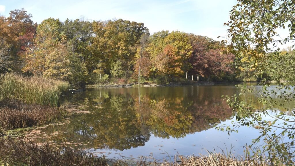 Wheaton makes list of ‘hottest’ ZIP codes in US for real estate – NBC Chicago