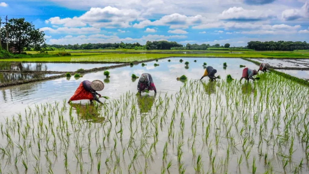 PM-AASHA to ensure remunerative prices for farmers, affordable commodities for consumers
