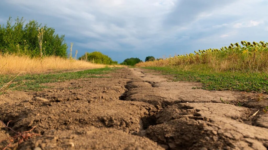 ‘Hazard to life or property’