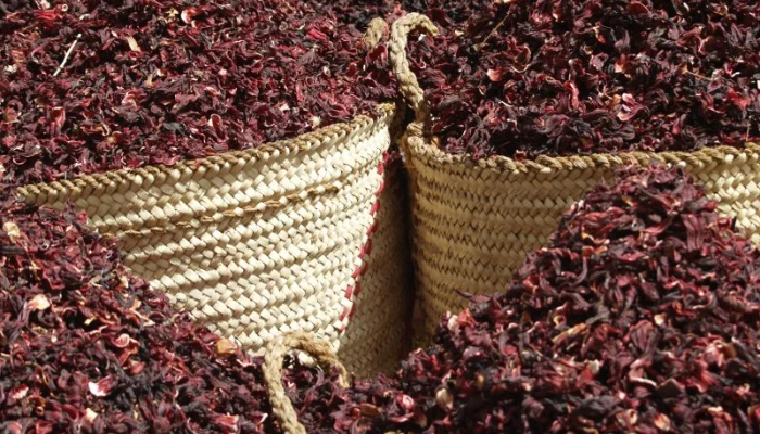 Hibiscus exports: Six essential steps to follow
