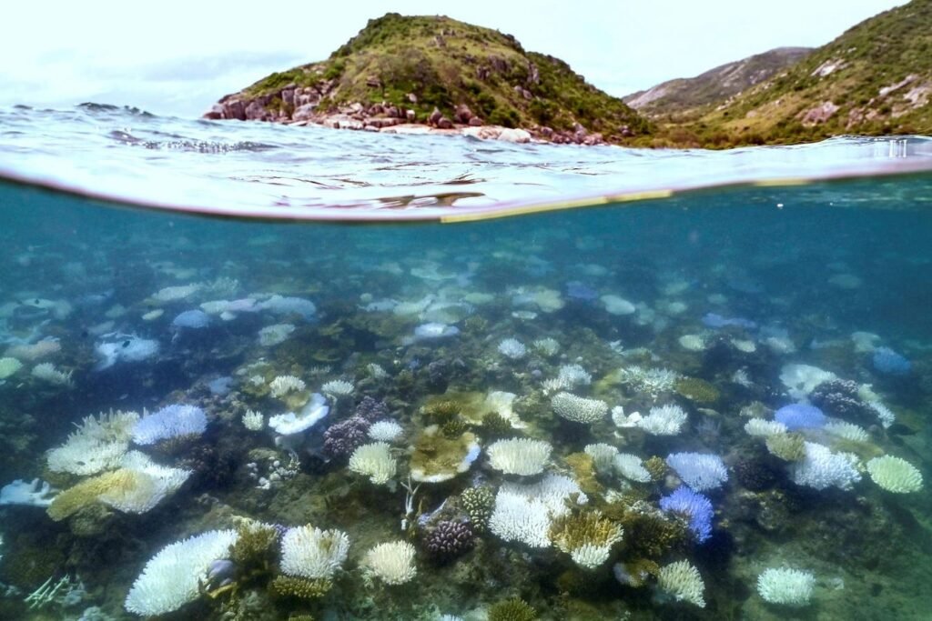 The Nature Finance Myth We Must Bust To Save Biodiversity