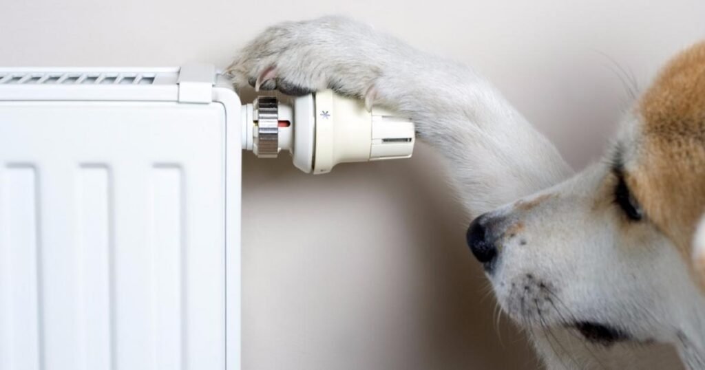 Preparing for the winter ahead with United Utilities