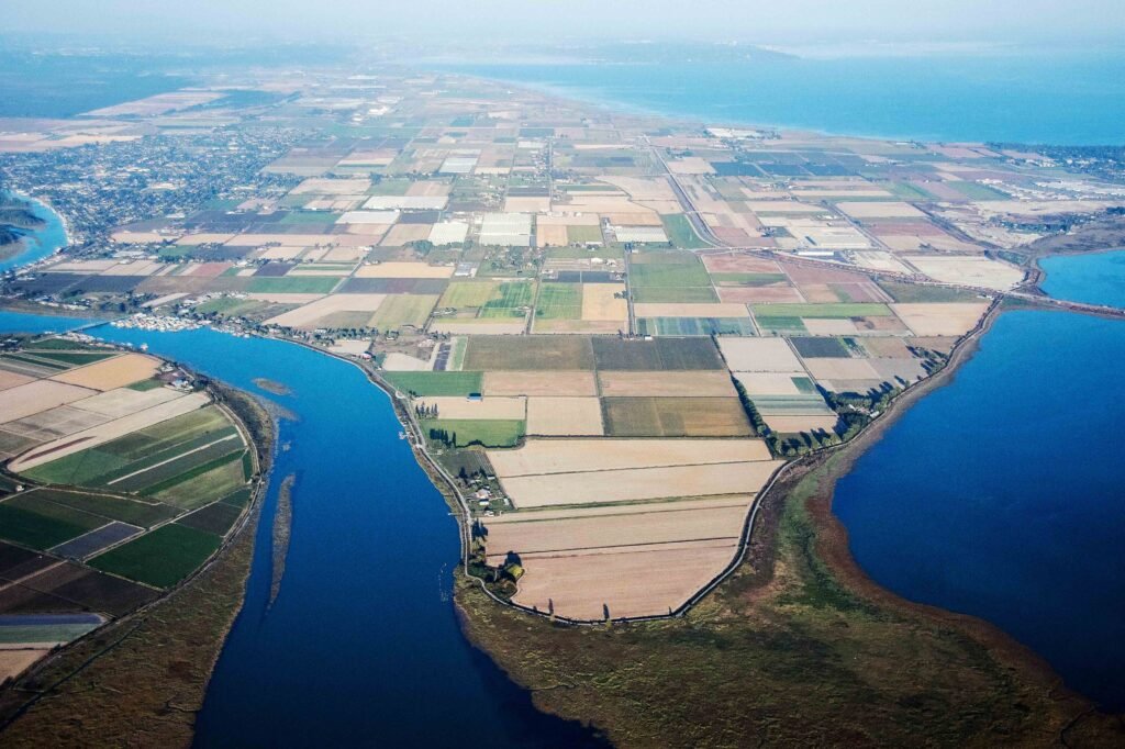 October Global Regulatory Brief: Green finance | Insights