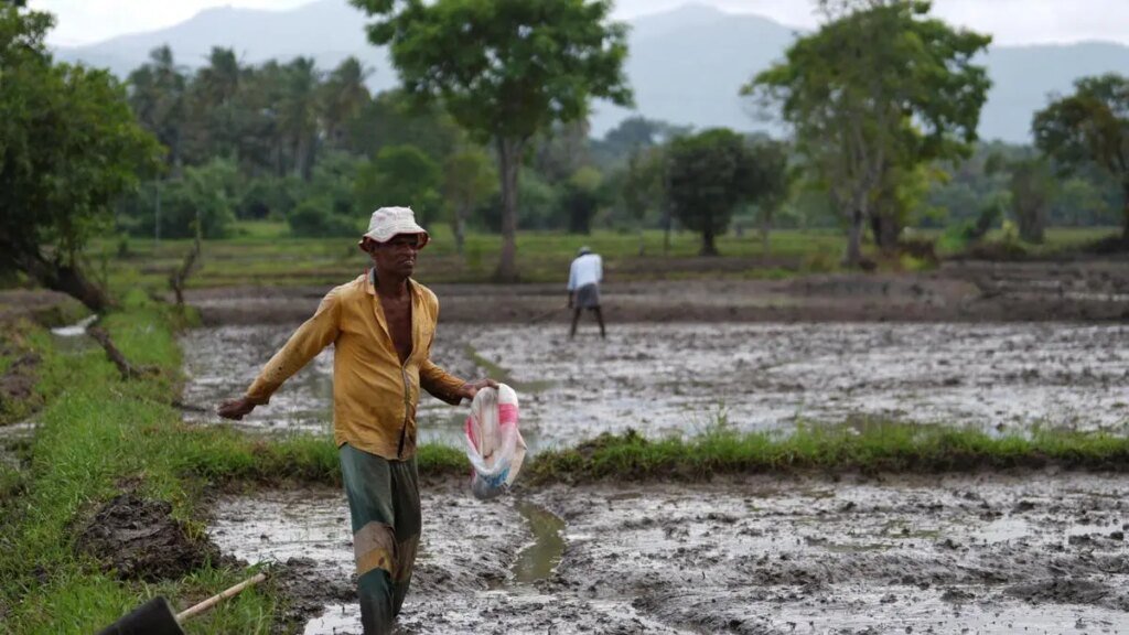 Not just gold, fertilizer, a major contributor to India’s trade deficit