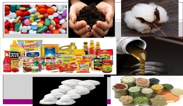 Essential Commodities Act, 1955: Meaning, Objectives, and Punishment