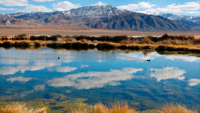 Carmakers’ battery deals with miners face delays as commodity prices drop