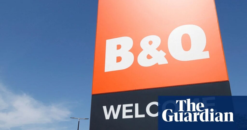 DIY chains enjoy bumper year as UK property market slows | Retail industry