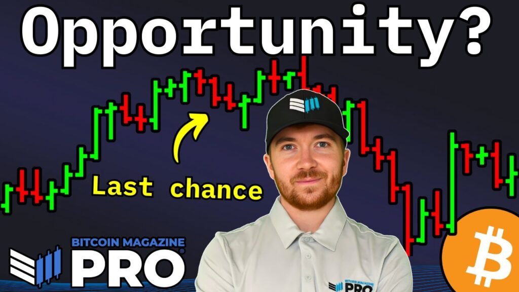 Bitcoin Treasury Companies Are Undervalued