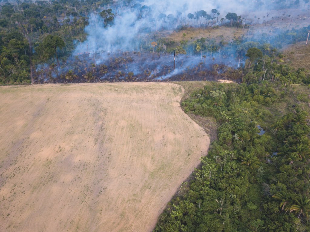 AIC launches EUDR Sustainable Commodities Scheme