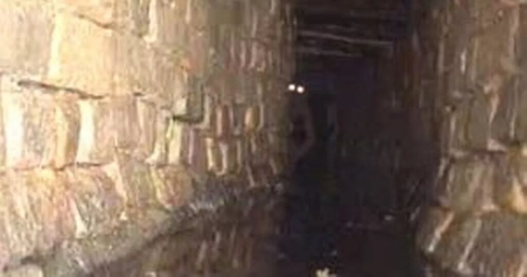 United Utilities’ sewer monster April Fool gag goes down the drain