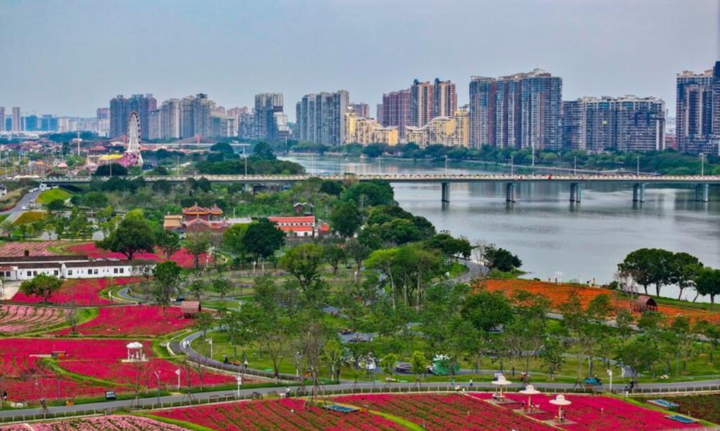 China’s property market sees major changes in supply and demand: official